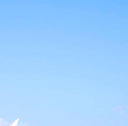 上海正规粉象生活网站