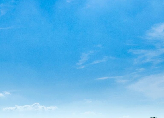 粉象生活手机上可以开店吗