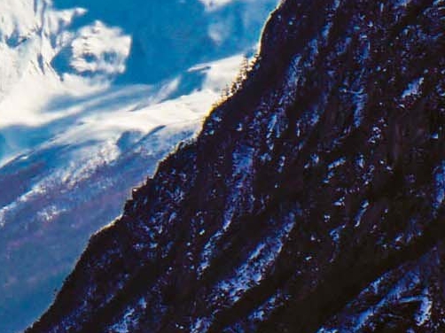 电商粉象生活怎么赚钱