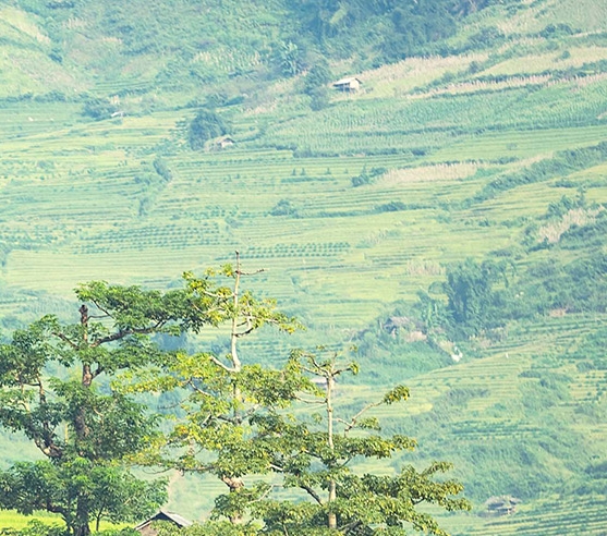 粉象生活怎么填别人的邀请码