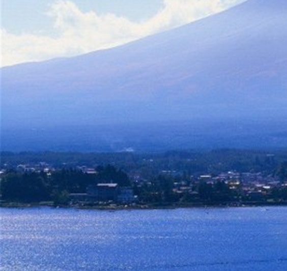 粉象生活哪个平台最好