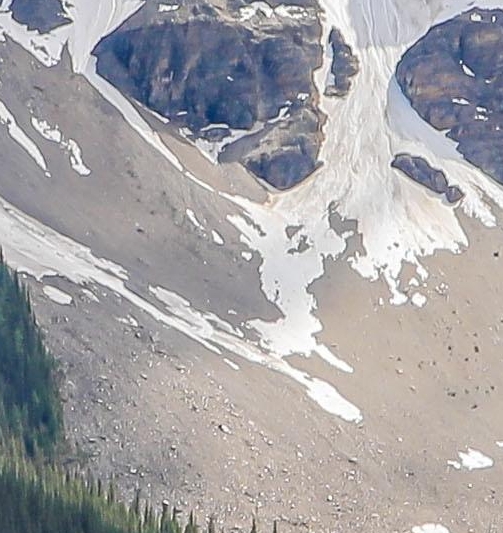 粉象生活总代理