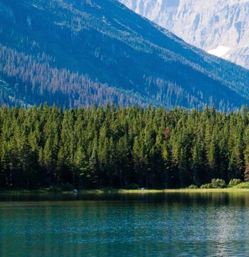 粉象生活和马云是什么关系