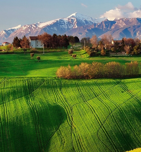 粉象生活是干嘛的APP