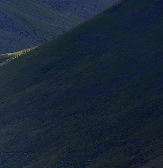 广东正规粉象生活app