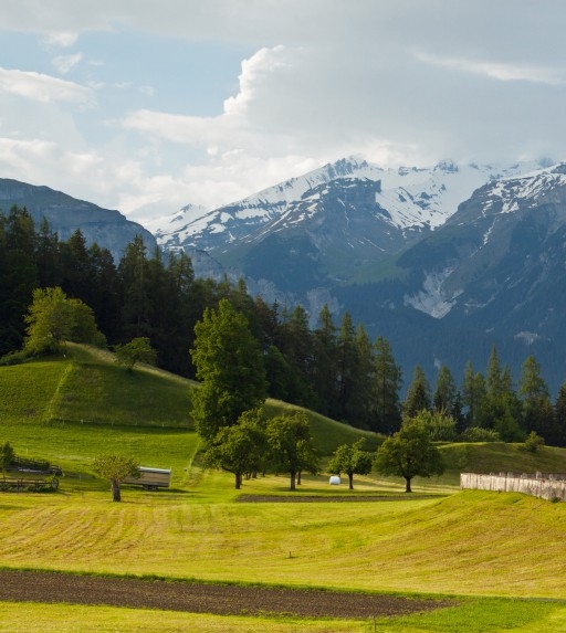 惠州粉象生活怎么推广