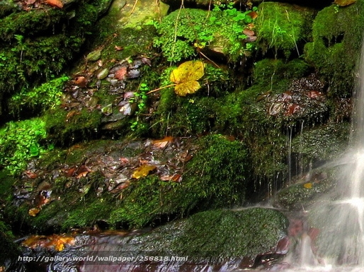 广东粉象生活能拿几代佣金