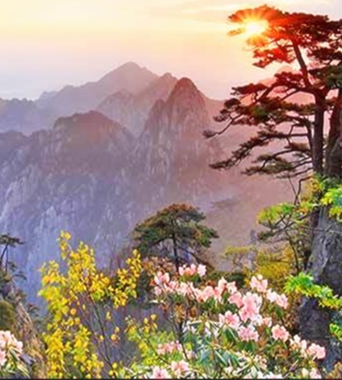 粉象生活真实收入