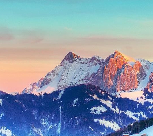 粉象生活外卖订单在哪里找