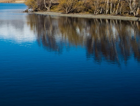 粉象生活的推广佣金怎么算
