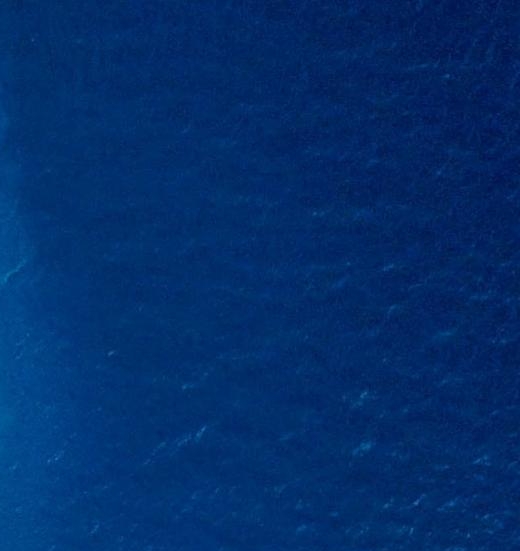 粉象生活怎么赚钱