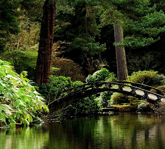 粉象生活是干嘛的