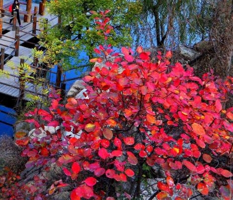 粉象生活邀请码