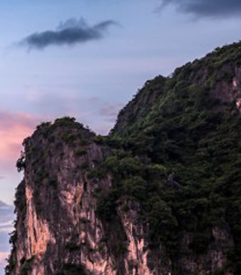 粉象生活品牌中心粉象生活