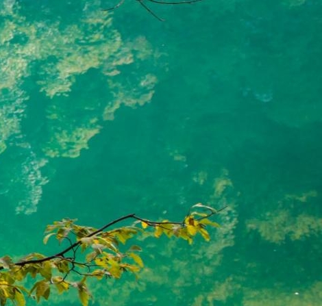 学生党记录生活的相机