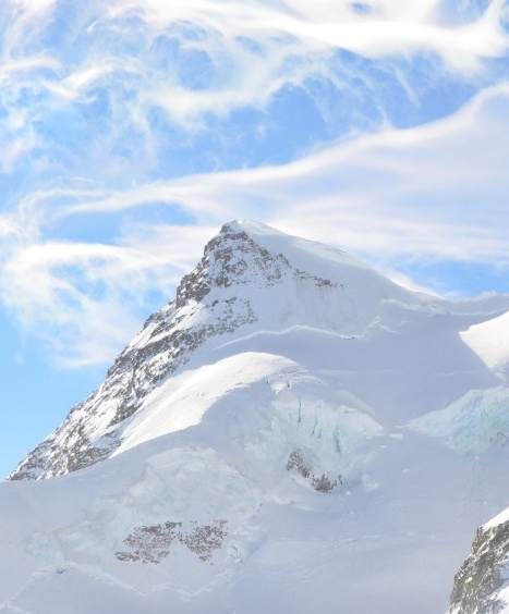 粉象生活邀请码是