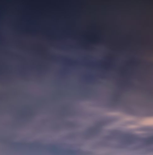 粉象生活怎么设置自动返利