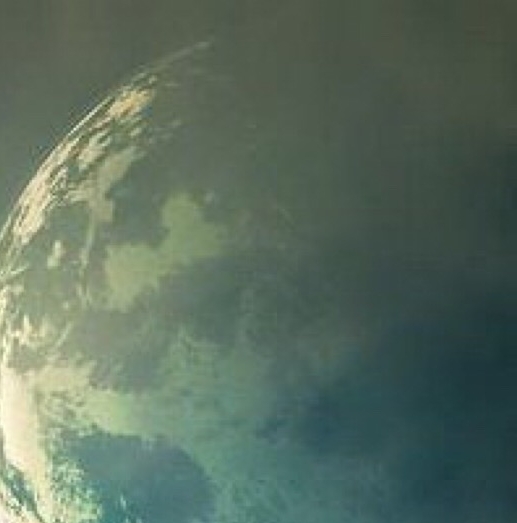 比利时浅粉象评价