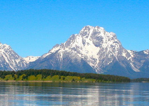 粉象生活粉丝怎么增加