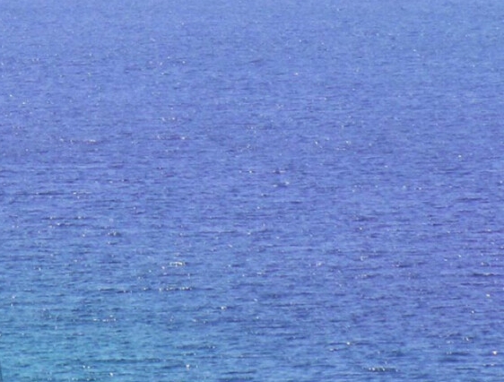 粉象生活线上引流是什么