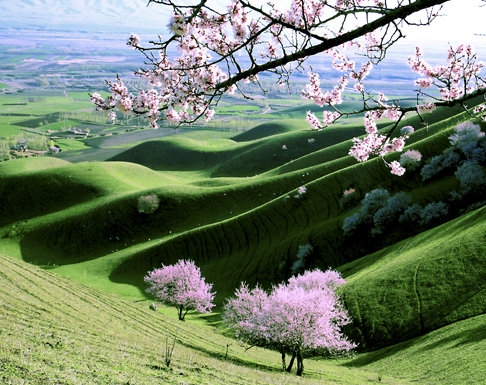 粉象生活如何找回关注