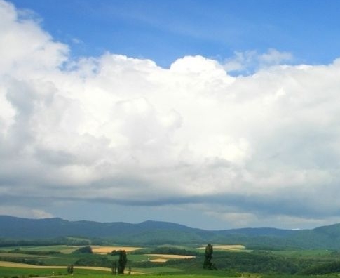 粉象生活赚钱教程