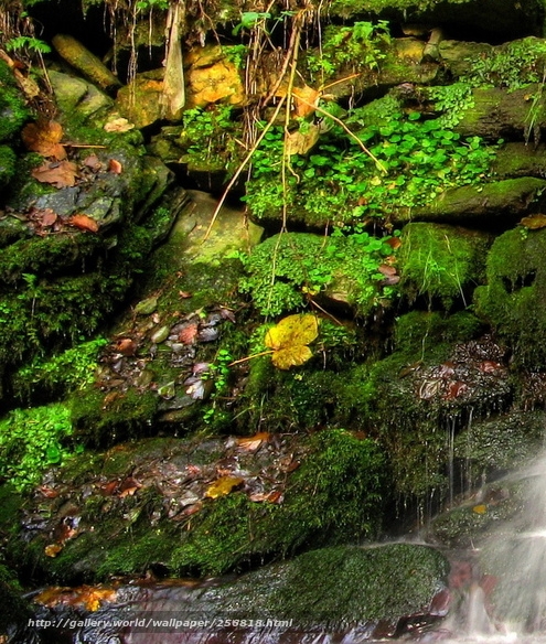 粉象生活怎么赚钱的
