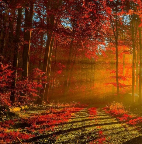 粉象生活怎么推广引流加粉丝