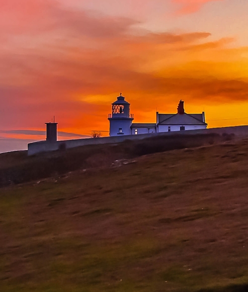 粉象生活能赚钱吗