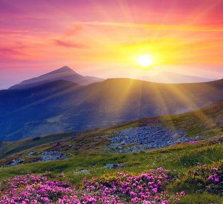 果农生活APP下载