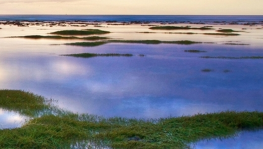 粉象生活怎么用