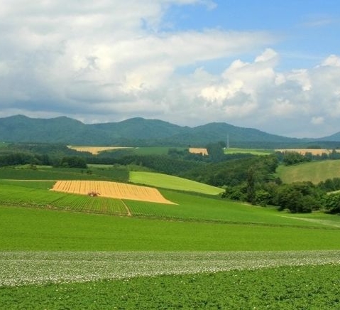粉象生活是什么?