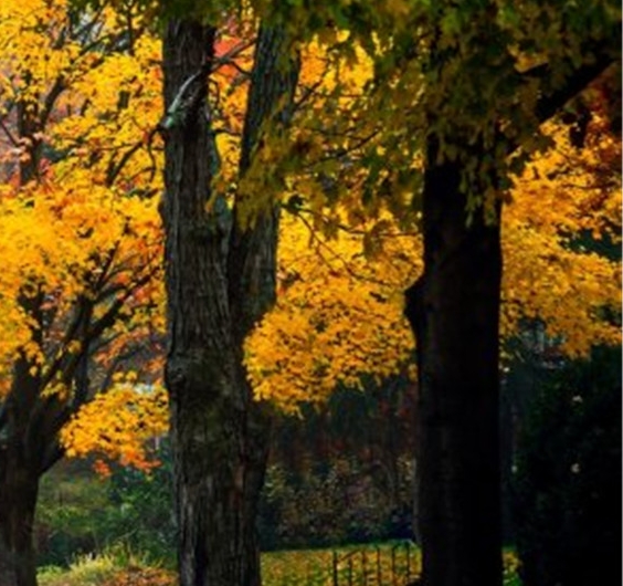 粉象生活能赚到钱吗