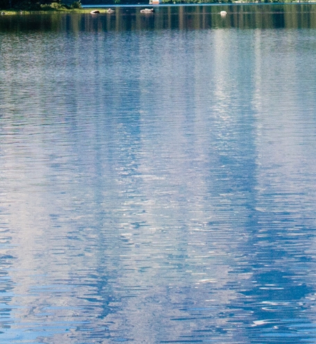 粉象生活下载app