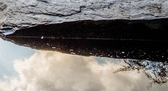 无限领红包软件