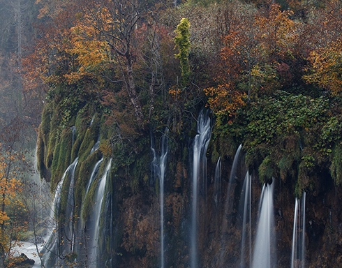 粉象生活要拉多少人才可以拿到200红包