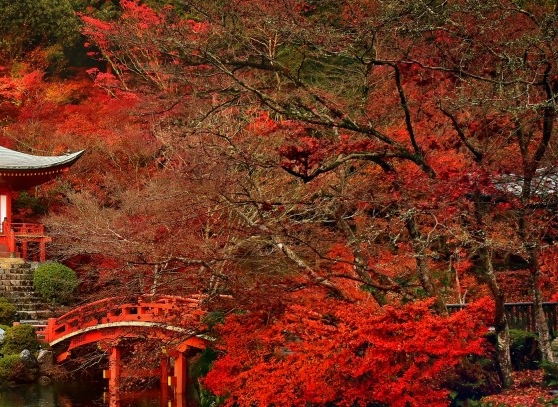 粉象生活是个什么样的平台