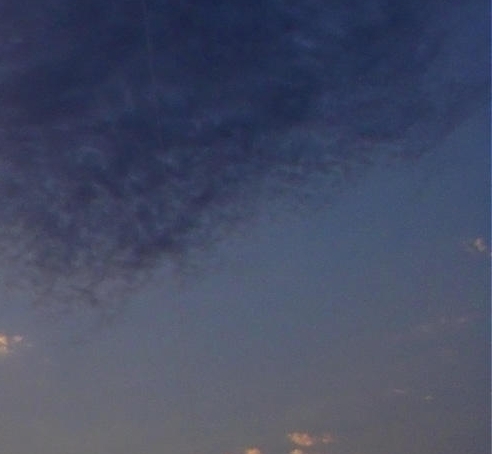 粉象生活能赚到钱吗