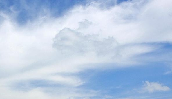 粉象生活怎么赚钱的