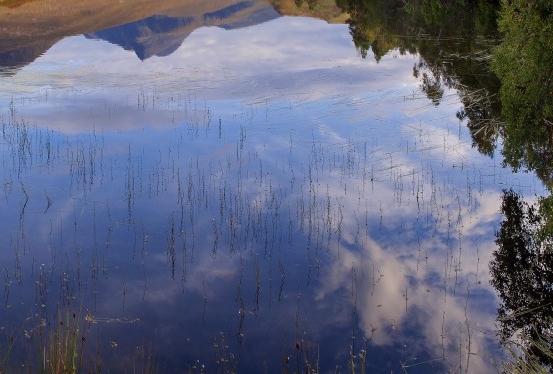 买粉影响流量吗