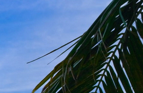 副业让生活更美好