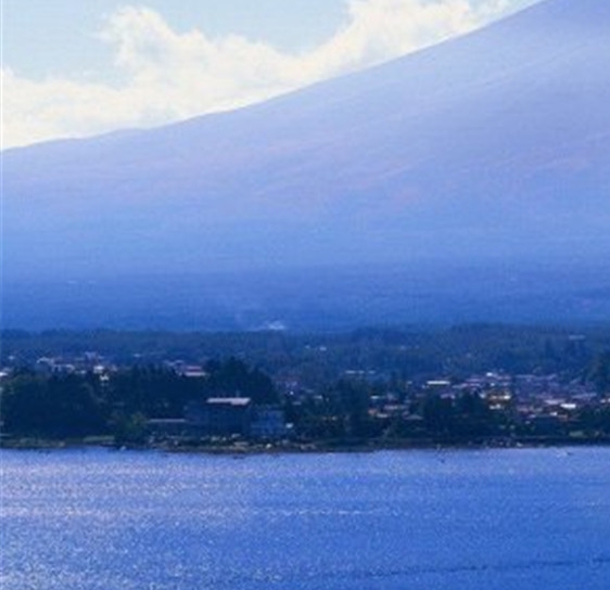 粉象生活下载app