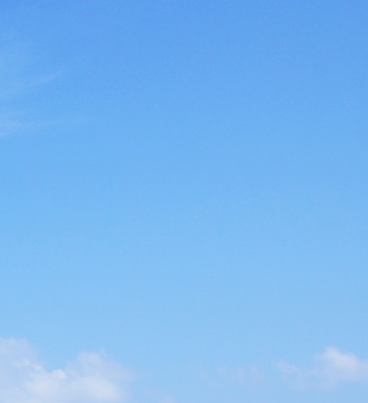 粉象生活是如何挣钱的