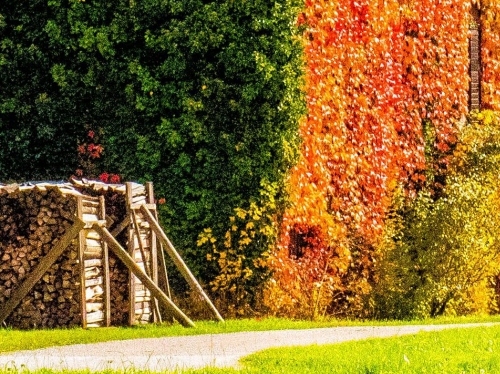 一淘和粉象生活哪个返利高