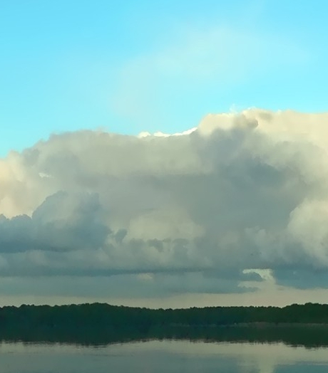 粉象生活创始人恩惠的老公