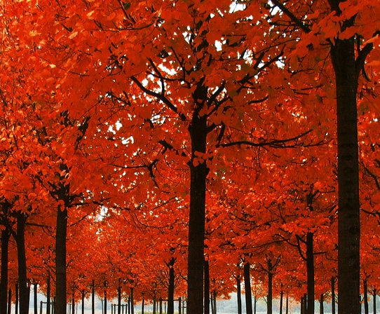 本夕生活怎么联系店铺