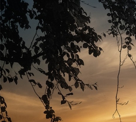 粉象生活邀请码可以改吗