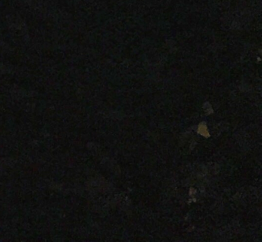 粉象生活是否合法