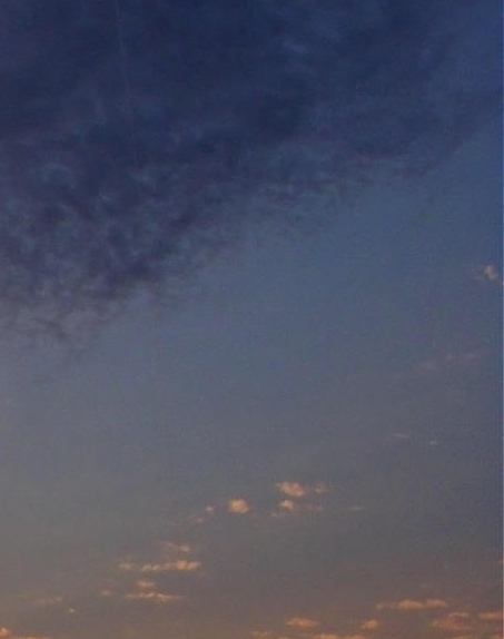 粉象生活是什么?