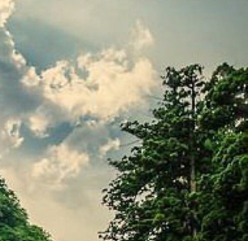 粉象生活总代理